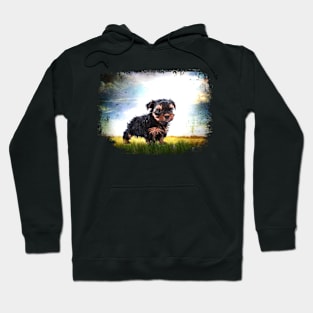 Yorkie On Grunge Hoodie